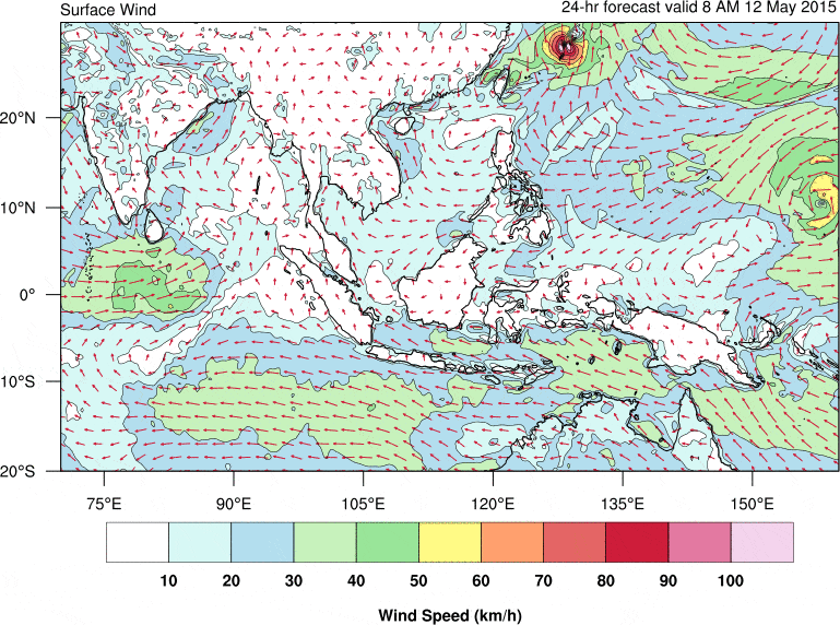 Low wind speeds in Singapore make wind turbines inefficient.