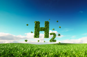 Hydrogen Oil: Green vs Blue, What’s the Difference?