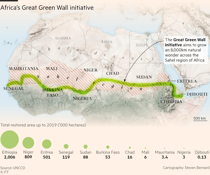 The Olympic forest Project will assist the Great Green Wall initiative plant trees across Northern Africa.