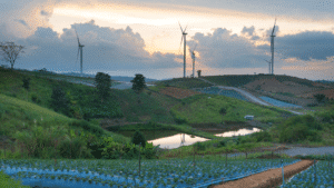 Renewable Energy in Indonesia – Current State, Opportunities and Challenges